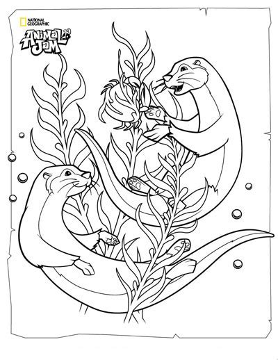 The animal jam coloring page features greely, the alpha for wolves, introduced in 2010 as one of the six alphas. Animal Jam Coloring Pages - GetColoringPages.com
