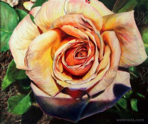 25 Beautiful Rose Drawings And Paintings For Your Inspiration 24