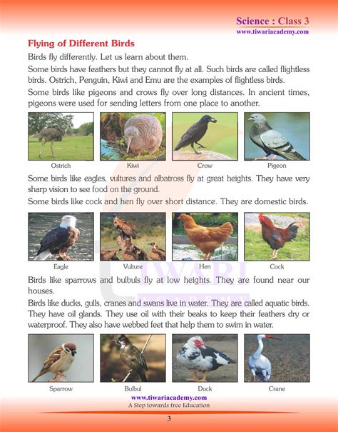 Ncert Solutions For Class 3 Science Chapter 3 The World Of Birds