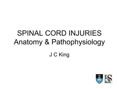 Ppt Spinal Cord Injuries Anatomy Pathophysiology Powerpoint