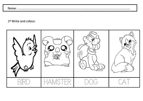 14 Pet Animals Worksheets For Kids