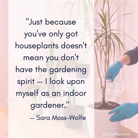 10 Inspirational Houseplant Quotes With Photos The Leafy Little Home