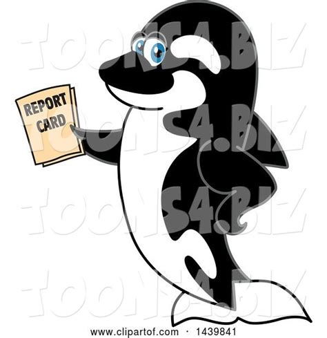 Vector Illustration Of A Cartoon Killer Whale Orca Mascot Holding A
