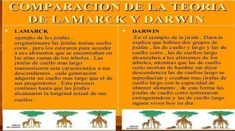 Teoria De La EvoluciÓn Lamarck Y Charles Darwin