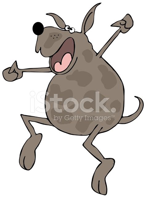 Dog Jumping For Joy Stock Photos