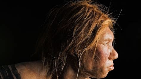 Neanderthals Humans Interbred—first Solid Dna Evidence