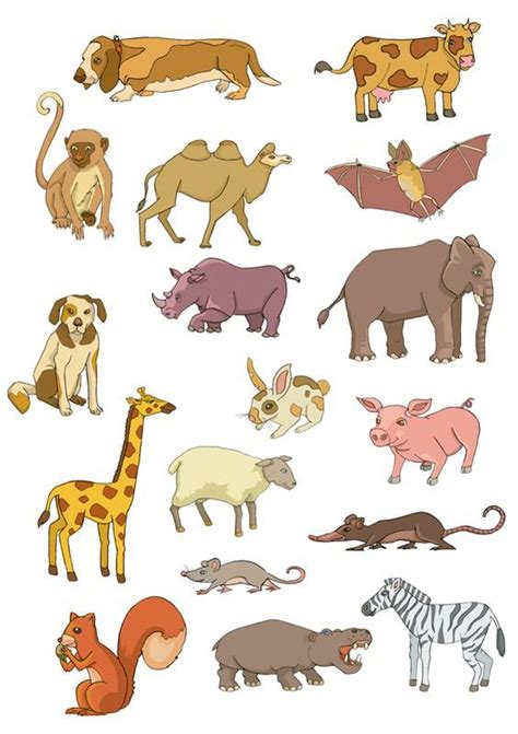 Animal Life Span Clipart 10 Free Cliparts Download Images On