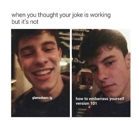 I Have A Masters Degree In That Bae Shawn Mendes Memes Mendes Army