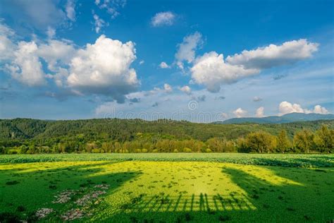 Beautiful Pastoral Scenery Of Distant Mountains And Fields In Summer