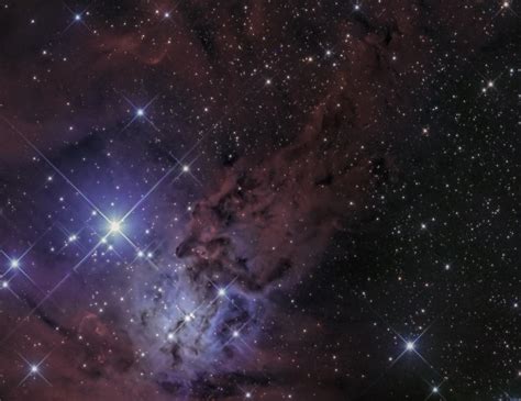 Fox Fur Nebula In Monoceros Telescope Live