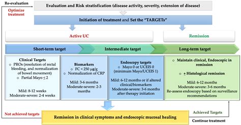 JCM Free Full Text Treatment Targets In Ulcerative Colitis Is It