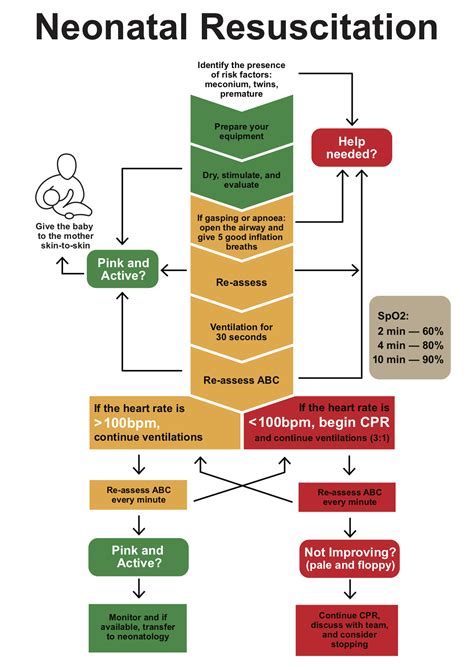 Neonatal Resuscitation Program Flow Chart Cardiopulmo