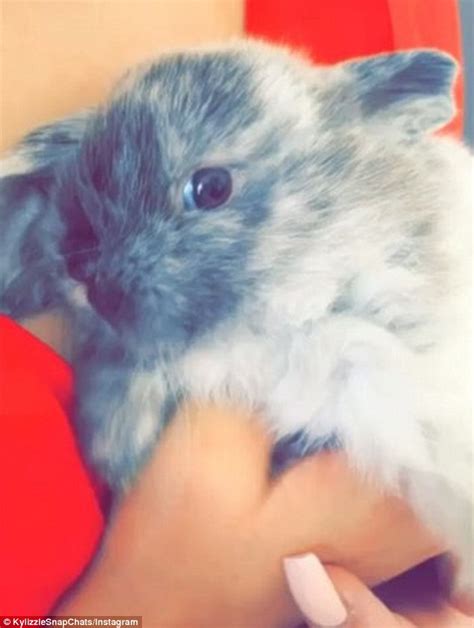 Kylie Jenner Adopts A Pet Rabbit And Names It Bruce Daily Mail Online