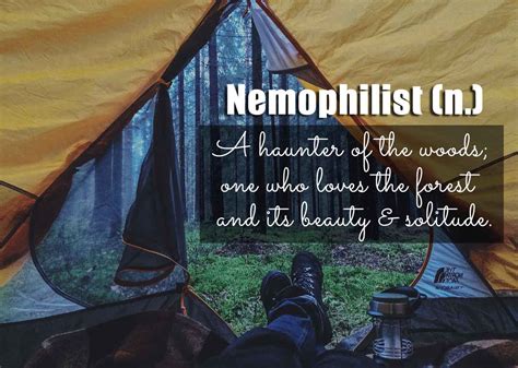 Arti kata ' nemophilist ' di kamus bahasa inggris terjemahan indonesia. Nemophilist Adalah - Explore nemophilist's (@nemophilist ...