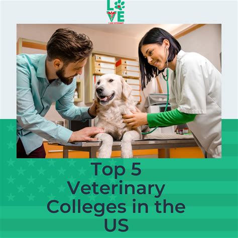 5 Top Vet Schools In The Us I Love Veterinary