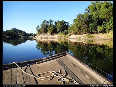 Shimano bantam #shimano antares dc md xg #giantsnakehead #小盾鱧#魚虎. aFishcionado: 鯱聲初啼