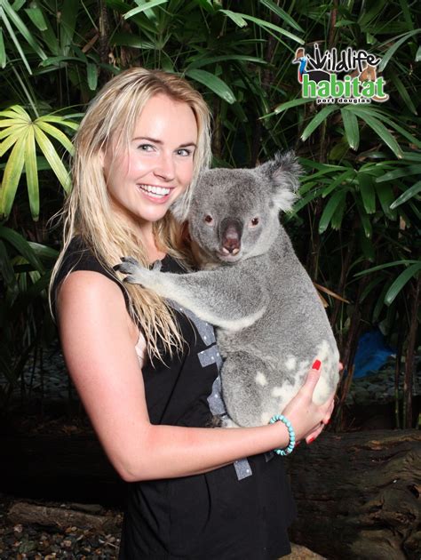 Koala Facts And Koala Photo Wildlife Habitat