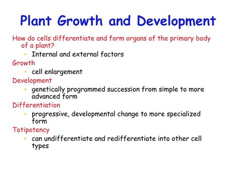 Ppt Plant Growth And Development Powerpoint Presentation Free Download
