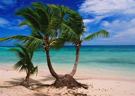 An island or isle is a tract of land that is completely surrounded by water, above high tide, and isolated from other significant landmasses, yet is not large enough to be called a continent. Plantation Island Resort Fiji - Holiday packages and ...