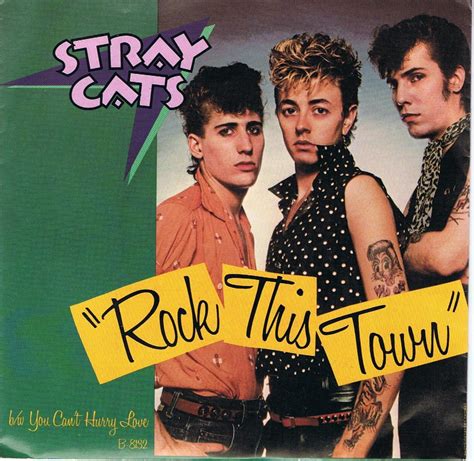 Added by kathy 5 years ago on 15 february 2015 14:19. The Stray Cats | Stray cat, Stray, Cats
