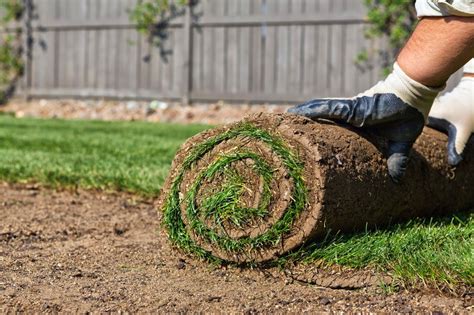 There are actual sod farms, places where grass is grown and tended until it and the supporting dirt is carved away in rolls or squares. Turf Installation Service - Sydney Wide Turf