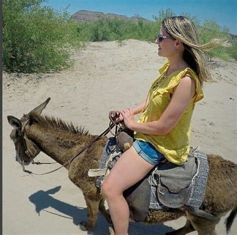 List 99 Pictures How To Ride A Donkey Stunning