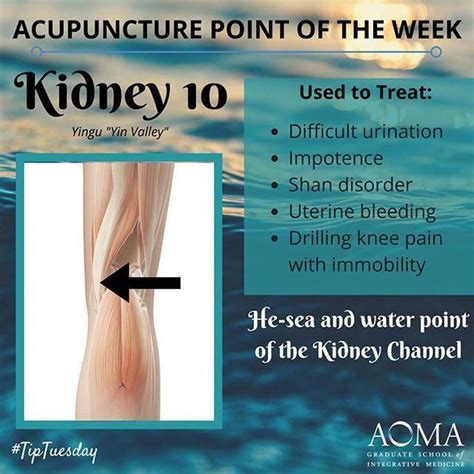 Tiptuesday Acupuncture Point Of The Week Kidney 10 Tcm Aoma