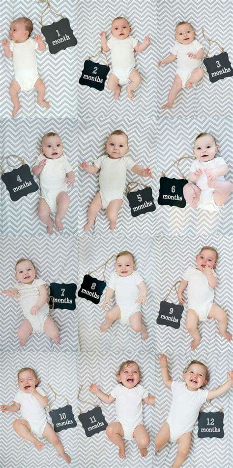 Monthly Baby Photos Monthly Pictures Baby Monthly Milestones Newborn