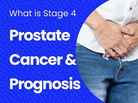 Prostate Cancer Risk Factors What You Need To Know Sallad Health