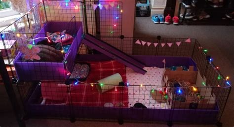 Gallery Candc Guinea Pig Cages Mesh And Grid Cages For Pets