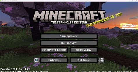 Player Is You Splash Text Please Read Rminecraft