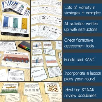 Preparing for the biology staar test will take time, effort, and practice. Biology EOC STAAR Review Activity Bundle by Think Big ...