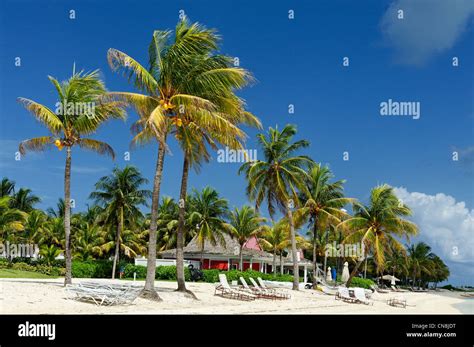 Bahamas Grand Bahama Island West End Old Bahama Bay White Sand