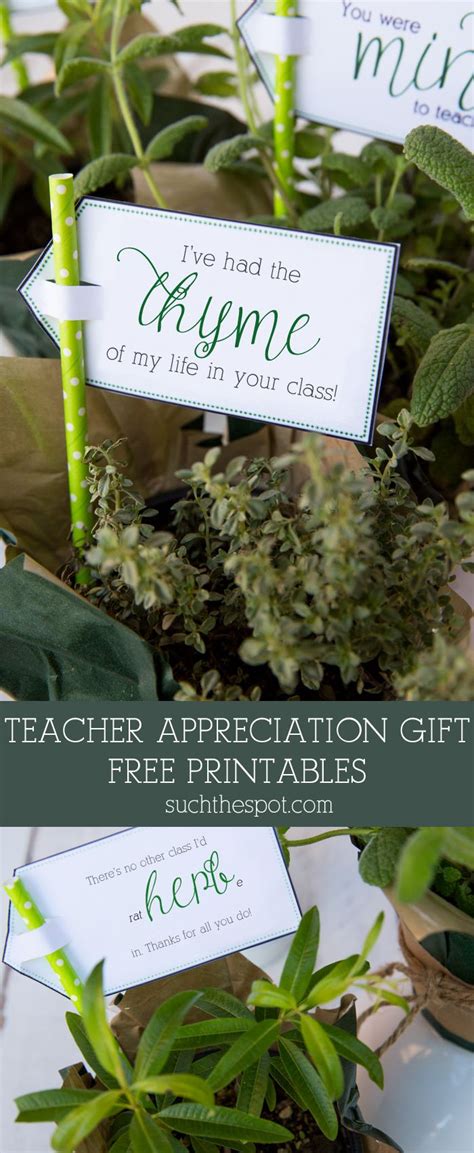 Teacher Appreciation Gift Idea With Free Printables