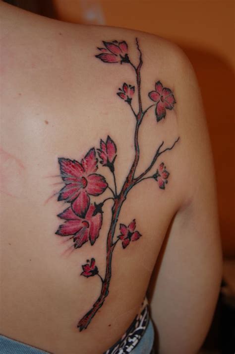 24 Best Images About Cherry Blossom Tattoos On Pinterest