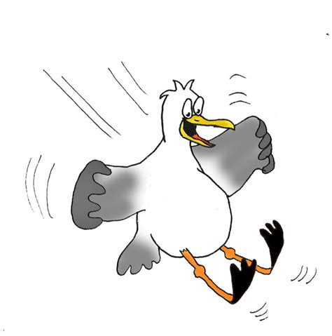 Free Clip Art Seagull Cartoon Clipartfest 2 Wikiclipart