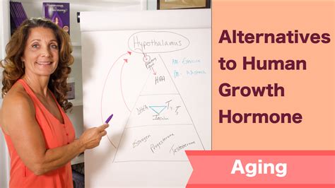 aging alternatives to human growth hormone genesis gold and the hormone queen