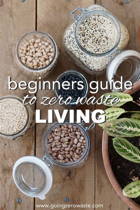 The Beginners Guide to Zero Waste Living | GreenStories
