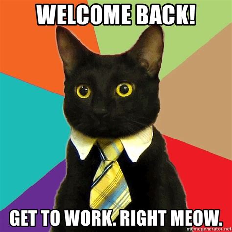 Welcome Back Get To Work Right Meow Business Cat Meme Generator