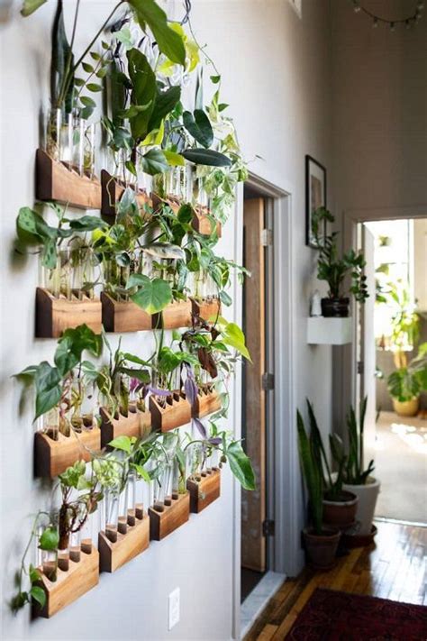 20 Excellent Hallway Decor Ideas With Plants Easy House Plants