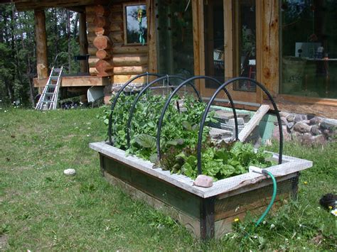 Taking just a couple of weekends to complete this project, you'll soon be enjoying looking to build a raised vegetable bed? Raised Beds and Strawberries