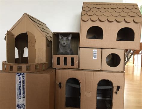 Instead Of Buying Expensive Cat Houses Make Them Out Of Cardboard R