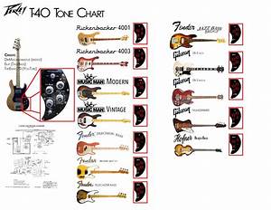 For My Fellow Peavey T 40 Players I Made A Diagram Out Of The Hard To