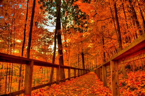 Simple Fall Wallpapers - Top Free Simple Fall Backgrounds - WallpaperAccess