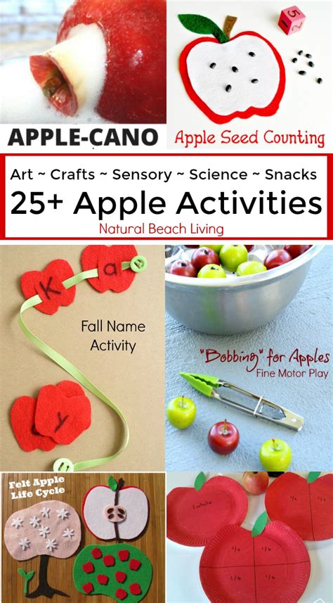 25 Awesome Apple Activities For Kids Natural Beach Living