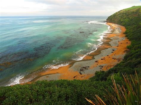 Bushy Beach 4 By Devilsadvocate Ephotozine