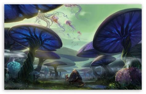 Magical Mushroom Forest Wallpaper Img Oak