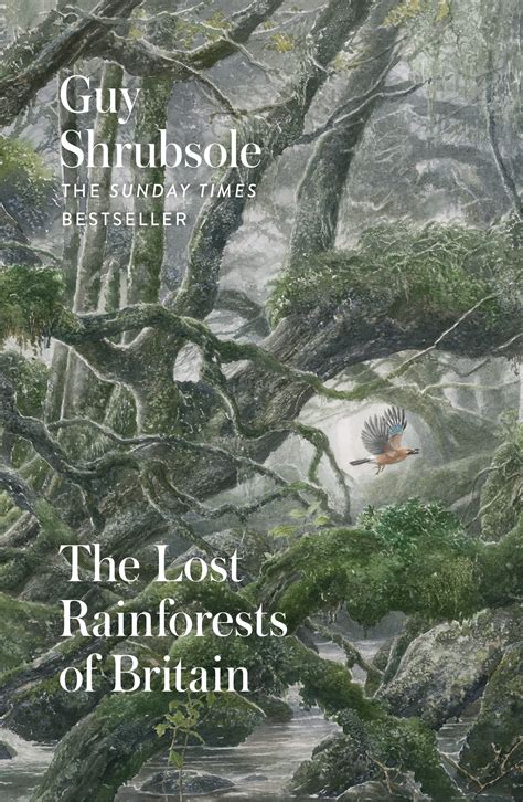 Book Review The Lost Rainforests Of Britain By Guy Shrubsole — Alliance For Scotlands Rainforest
