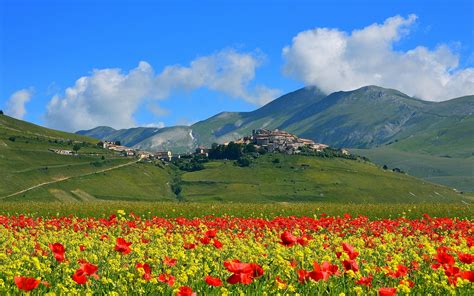 1080p Italy Castelluccio Flowers Village Mountains Red Poppies