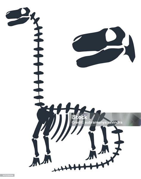 Big Dinosaur Skeleton Silhouette Stock Illustration Download Image